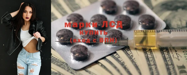 ПСИЛОЦИБИНОВЫЕ ГРИБЫ Бородино