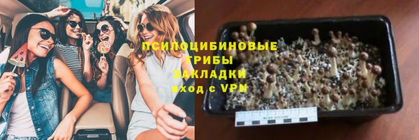 spice Бронницы